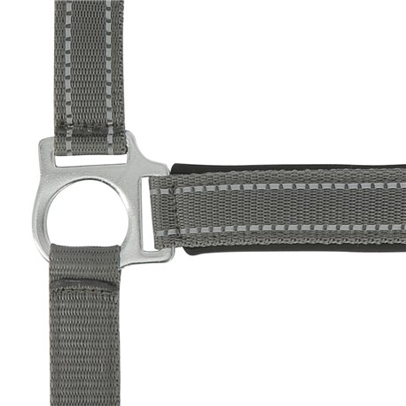 Licol NORTON "Reflective"