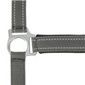 Licol NORTON "Reflective"