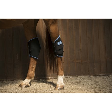 LAMI-CELL „Ice Boots“ Sprunggelenkschutz