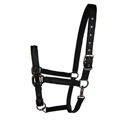 LAMI-CELL ?Sparkling" Halfter 2