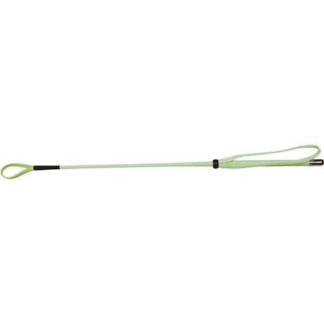 WHIP & GO 53 cm Reitgerte