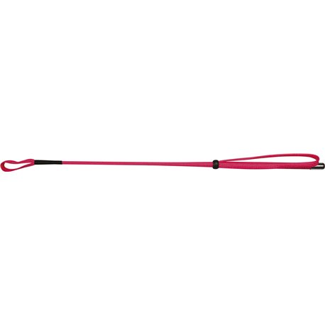 WHIP & GO 53 cm Reitgerte