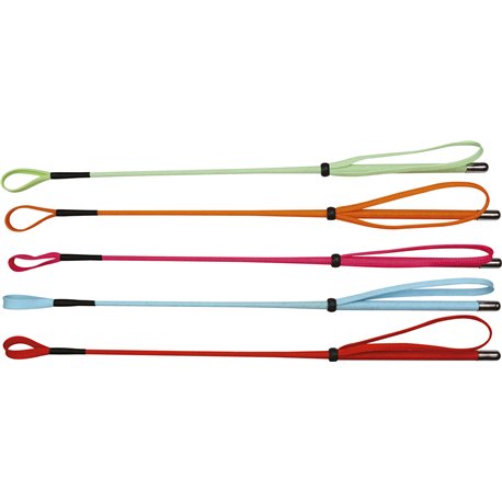 WHIP & GO 53 cm Reitgerte