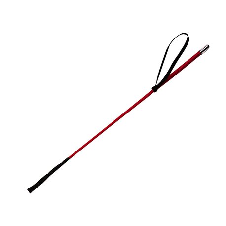 WHIP & GO Fiberglas Reitgerte mit Nylon
