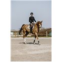 PRO SERIES "Canter" T-Shirt, lange ?rmel