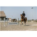 PRO SERIES "Canter" T-Shirt, lange ?rmel