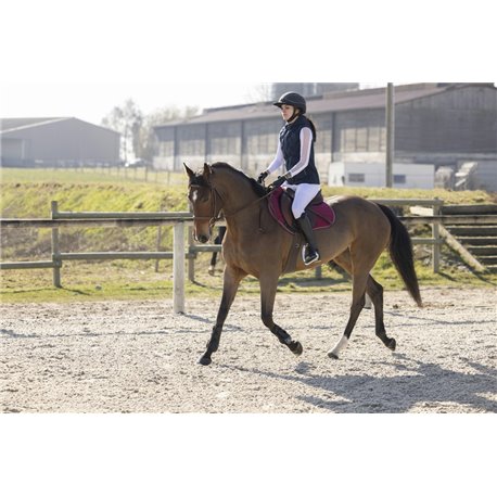 PRO SERIES Weste ?Piaffer?