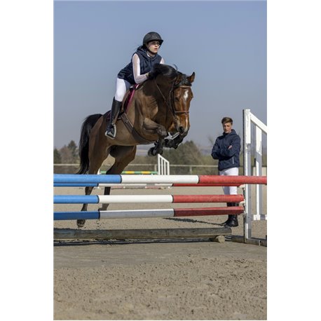 PRO SERIES Weste ?Piaffer?