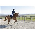 PRO SERIES Steppjacke „Diagonal“