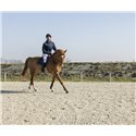 PRO SERIES Steppjacke „Diagonal“