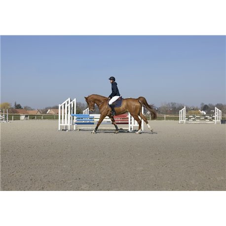 PRO SERIES Steppjacke „Diagonal“