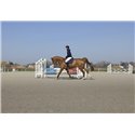 PRO SERIES Steppjacke „Diagonal“