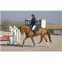 PRO SERIES Steppjacke „Diagonal“