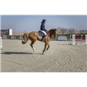 PRO SERIES Steppjacke „Diagonal“