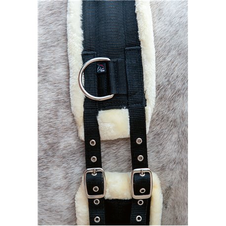 Longiergurt -Comfort Teddy-