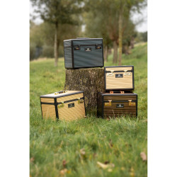 Box de pansage Shiny Classic 2