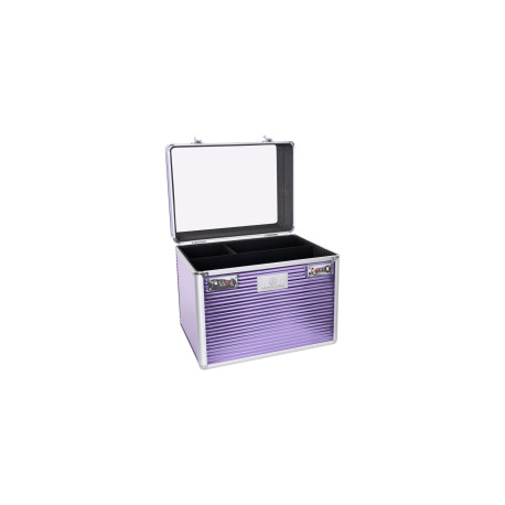 Box de pansage Shiny Classic