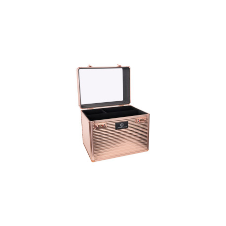 Box de pansage Shiny Classic