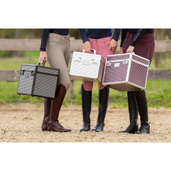 Box de pansage Shiny Classic 2