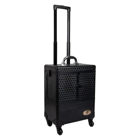 Box de pansage Shiny Big