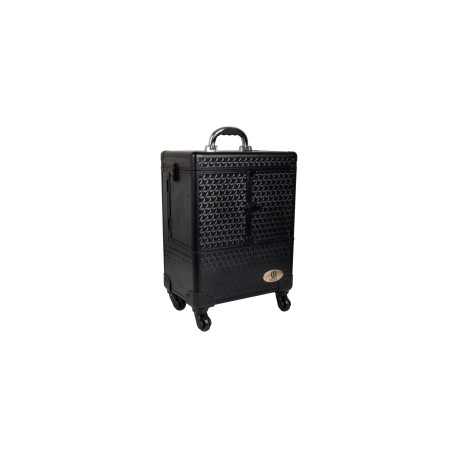 Box de pansage Shiny Big