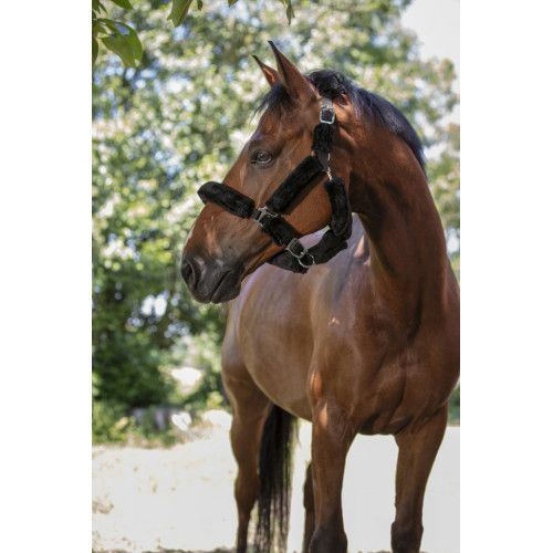 Licol NORTON "Full mouton synth?tique" 2