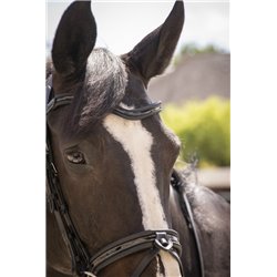 Bridon PENELOPE "Smoothie" 2