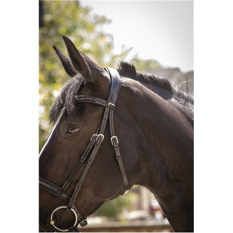 Bridon PENELOPE "Smoothie"