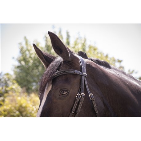 Bridon PENELOPE "Smoothie"