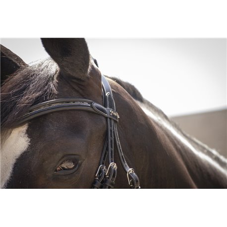 Bridon PENELOPE "Smoothie"