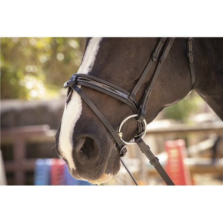 Bridon PENELOPE "Smoothie"