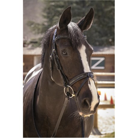 Bridon PENELOPE "Smoothie"