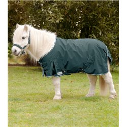 Chemise de Pluie Shetty 2