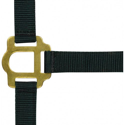 Licol RIDING WORLD 2