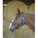 RIDING WORLD Halfter