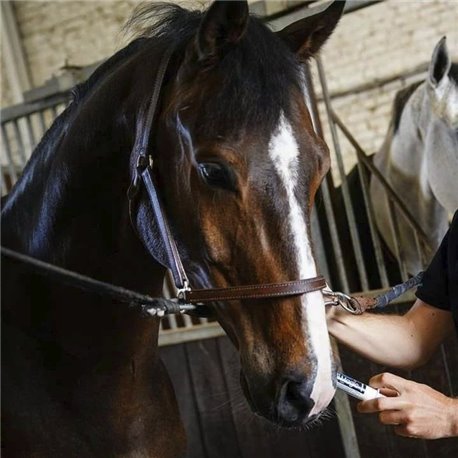 NAF „Instant Magic", Ergänzungsfuttermittel