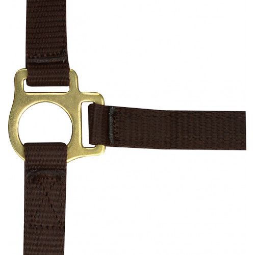 Nylonhalfter 2