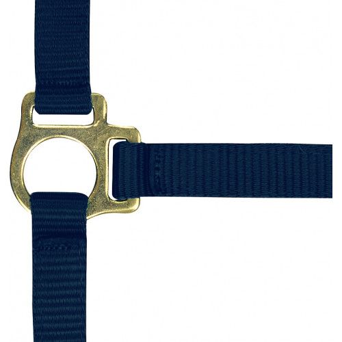 Nylonhalfter 2