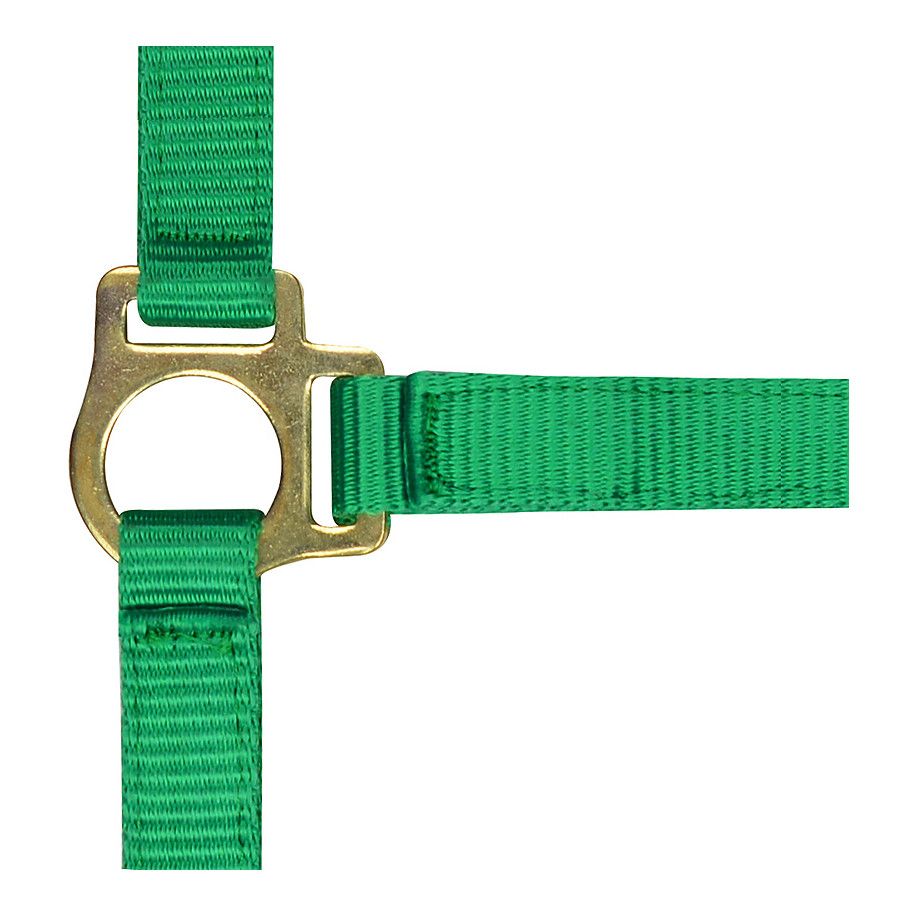 Licol nylon