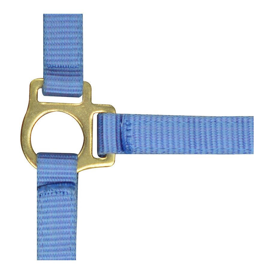 Licol nylon
