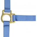 Licol nylon