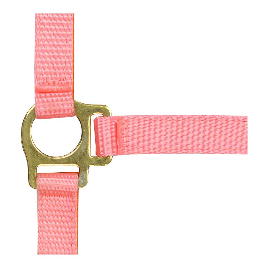Licol nylon