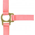 Licol nylon