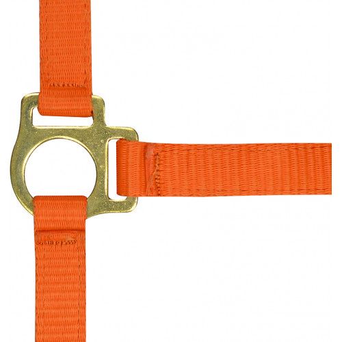 Licol nylon 2