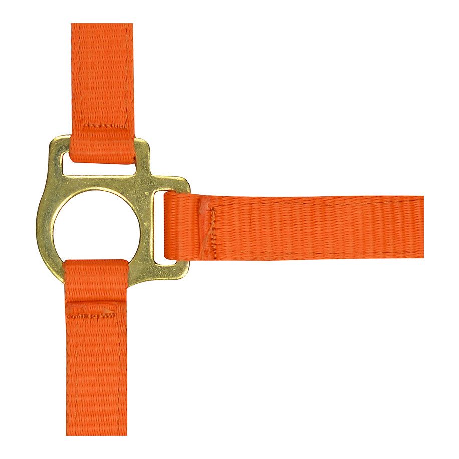 Licol nylon