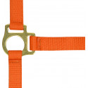 Licol nylon