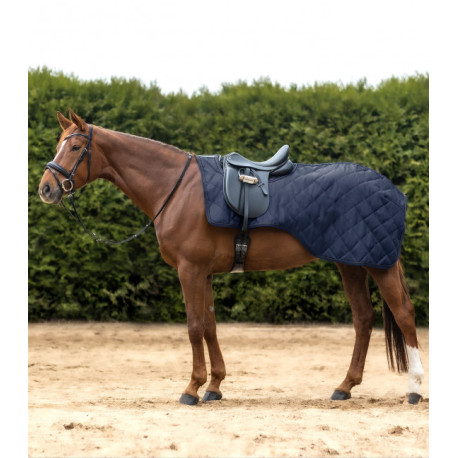 COUVRE-REINS EXCLUSIVE, 50 G