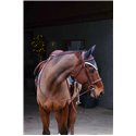 Bonnet chasse-mouches EQUITHÈME "Denim"