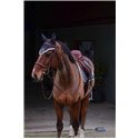Bonnet chasse-mouches EQUITHÈME "Denim"