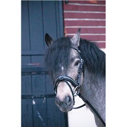 Bridon PENELOPE "Eden" 2